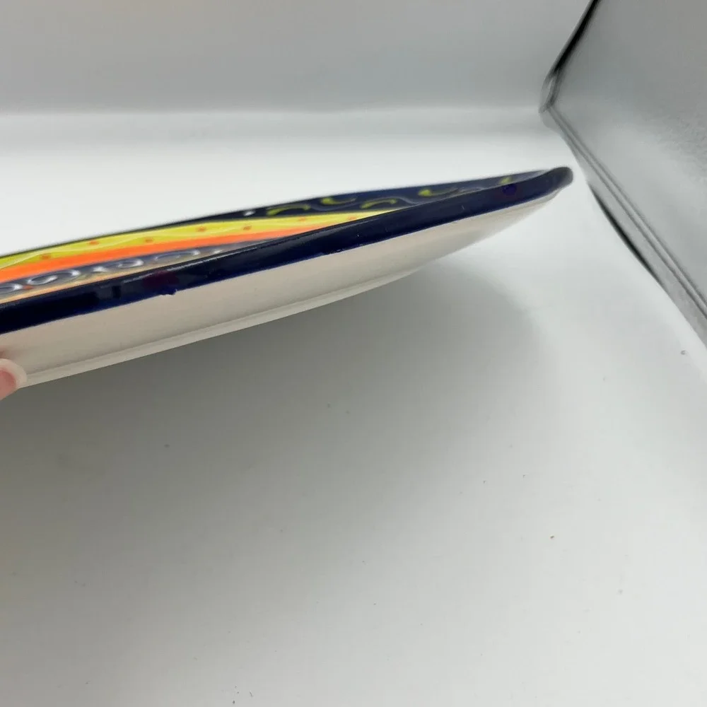 Pier 1 Imports Cypress Stripes Oval Platter Hand Painted Earthenware Spain 15x10
